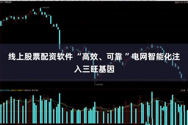 线上股票配资软件 “高效、可靠 ”电网智能化注入三旺基因